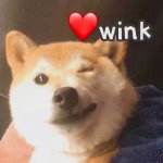 timg.jpg