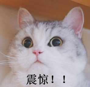 u=3035221245,3313247800&fm=26&gp=0.jpg