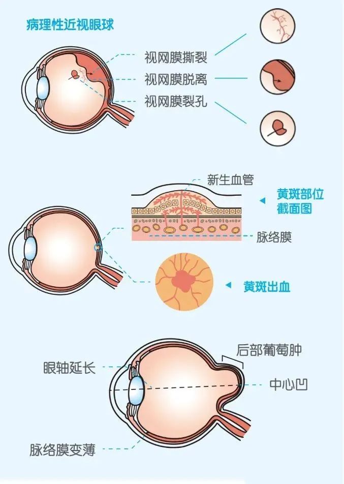 微信图片_20220607105112.jpg