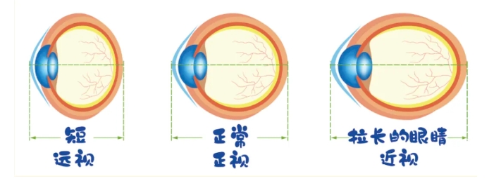微信截图_20240813093642.png